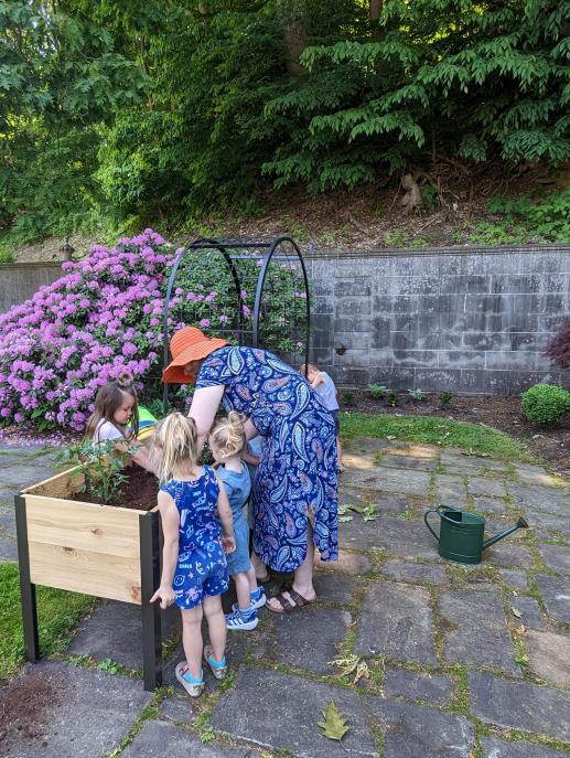 Our courtyard garden space