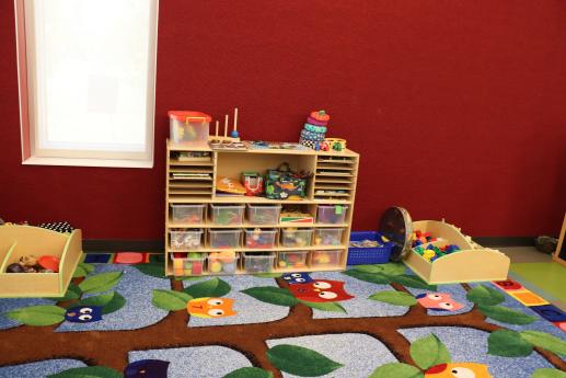 A variety of toys in our programming room are shown here sitting on a shelf on top of a bright rug