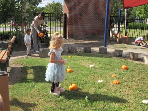 Pumpkin Patch